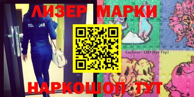 прущие грибы Будённовск
