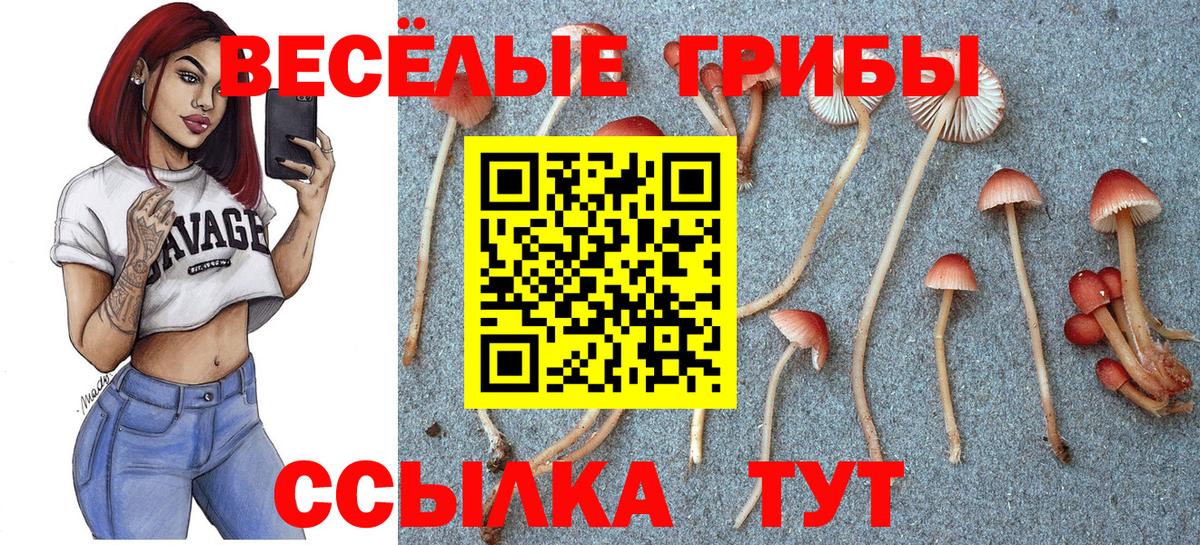 Псилоцибиновые грибы MAGIC MUSHROOMS  Вход с VPN  Южноуральск 